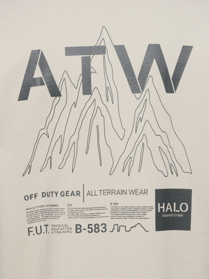 HALO GRAPHIC CREW 02, SILVER LINING HALO GRAPHIC CREW 02, SILVER LINING, packshot