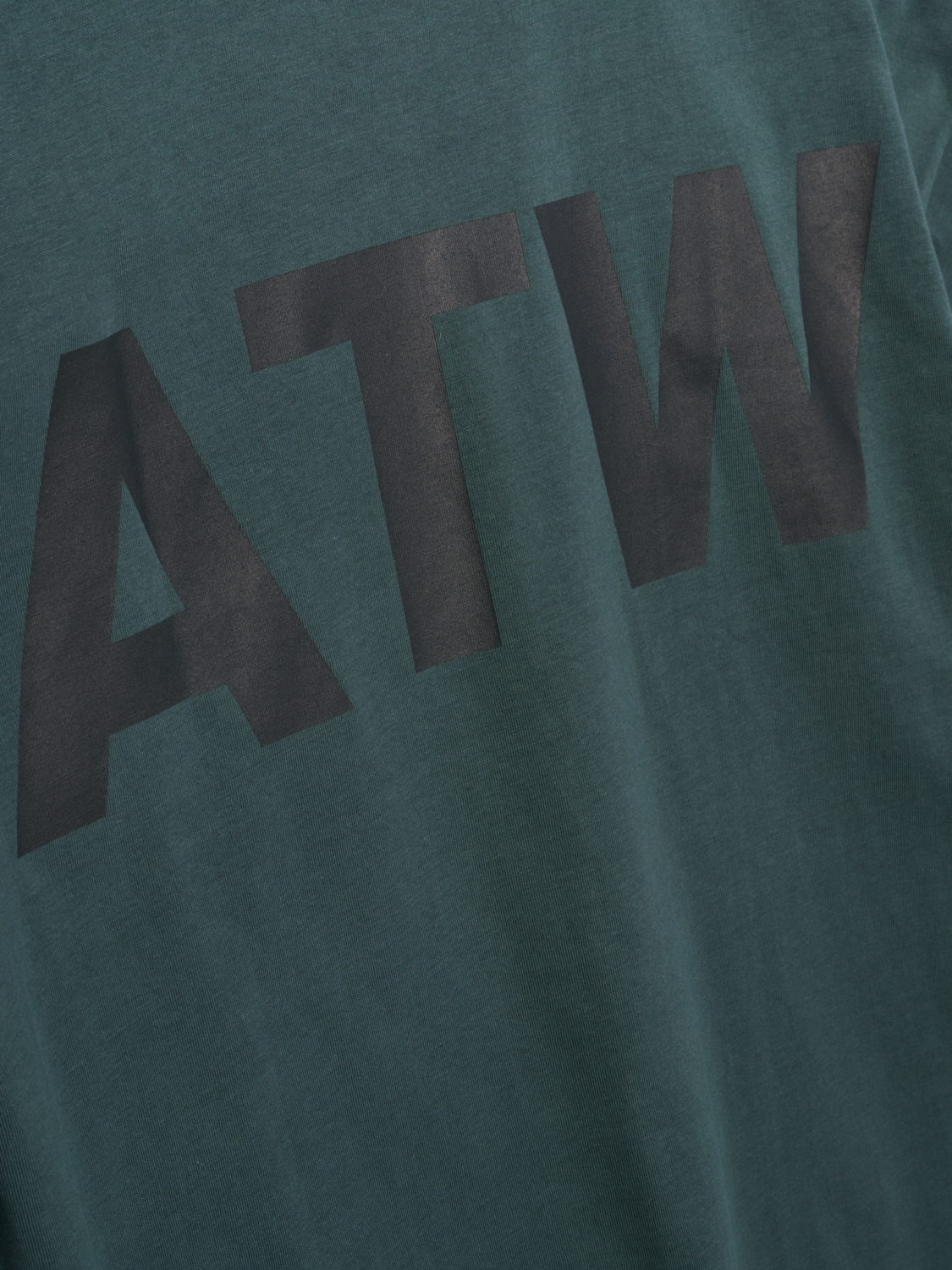 HALO GRAPHIC BOXY T-SHIRT, GARDEN TOPIARY, packshot