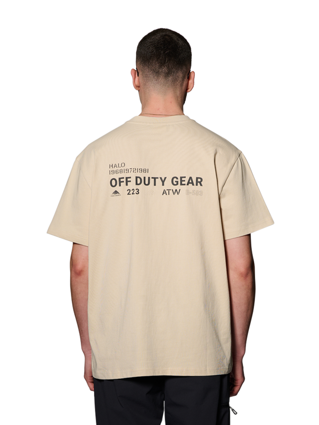HALO COLD SHORE T-SHIRT, OYSTER GRAY, model