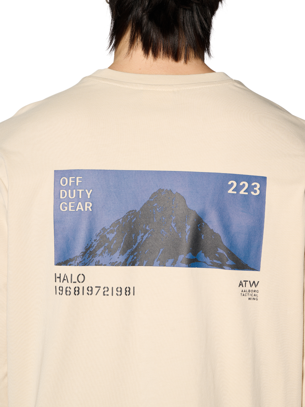 HALO SHORES L/S T-SHIRT, OYSTER GRAY, model