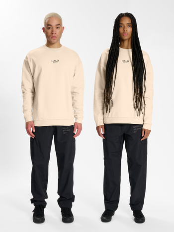 HALO HEAVY GRAPHIC CREW, OYSTER GRAY, model