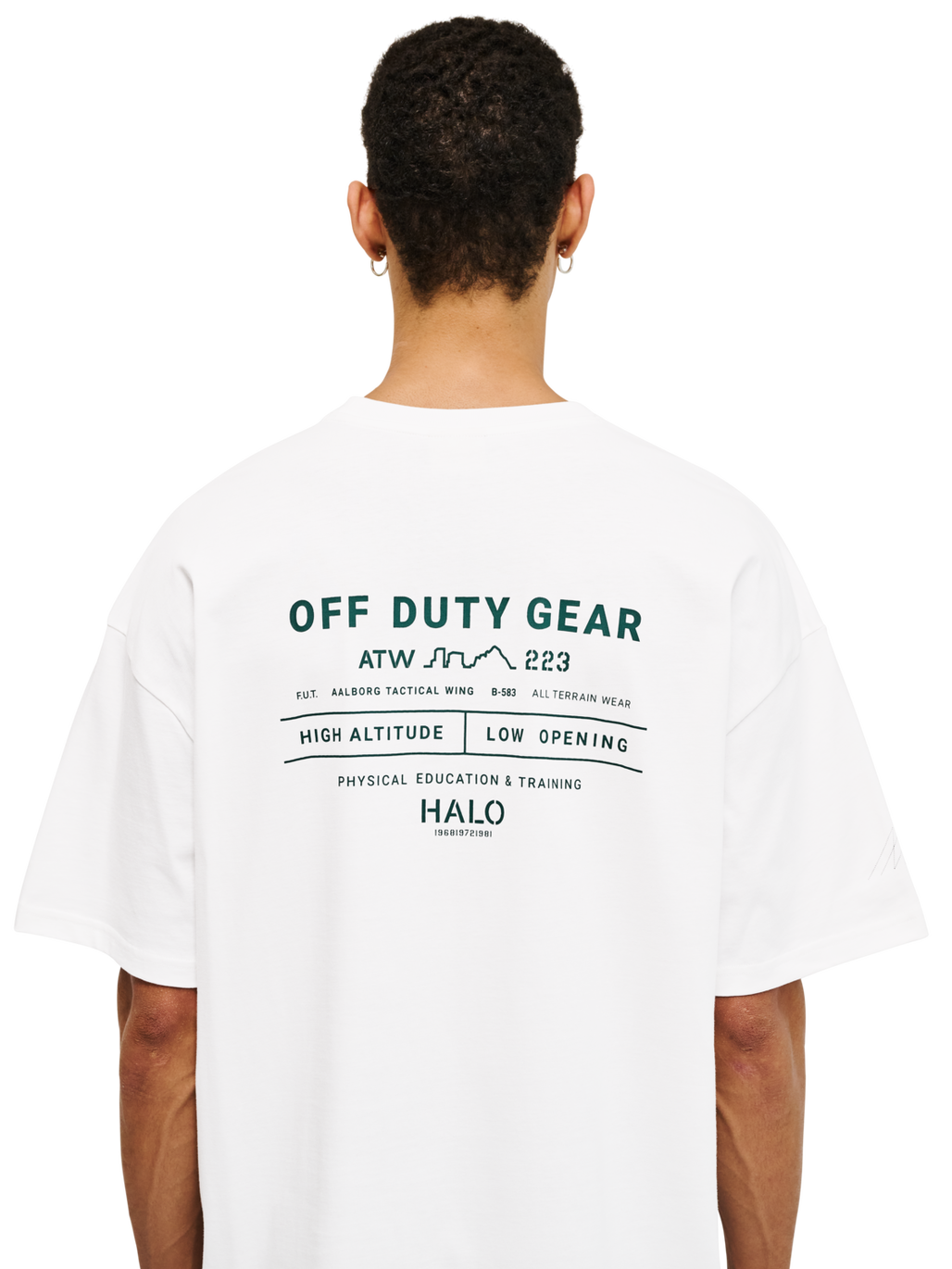 HALO GRAPHIC BOXY T-SHIRT, MARSHMALLOW/BOTANICALGARDEN/BG, model