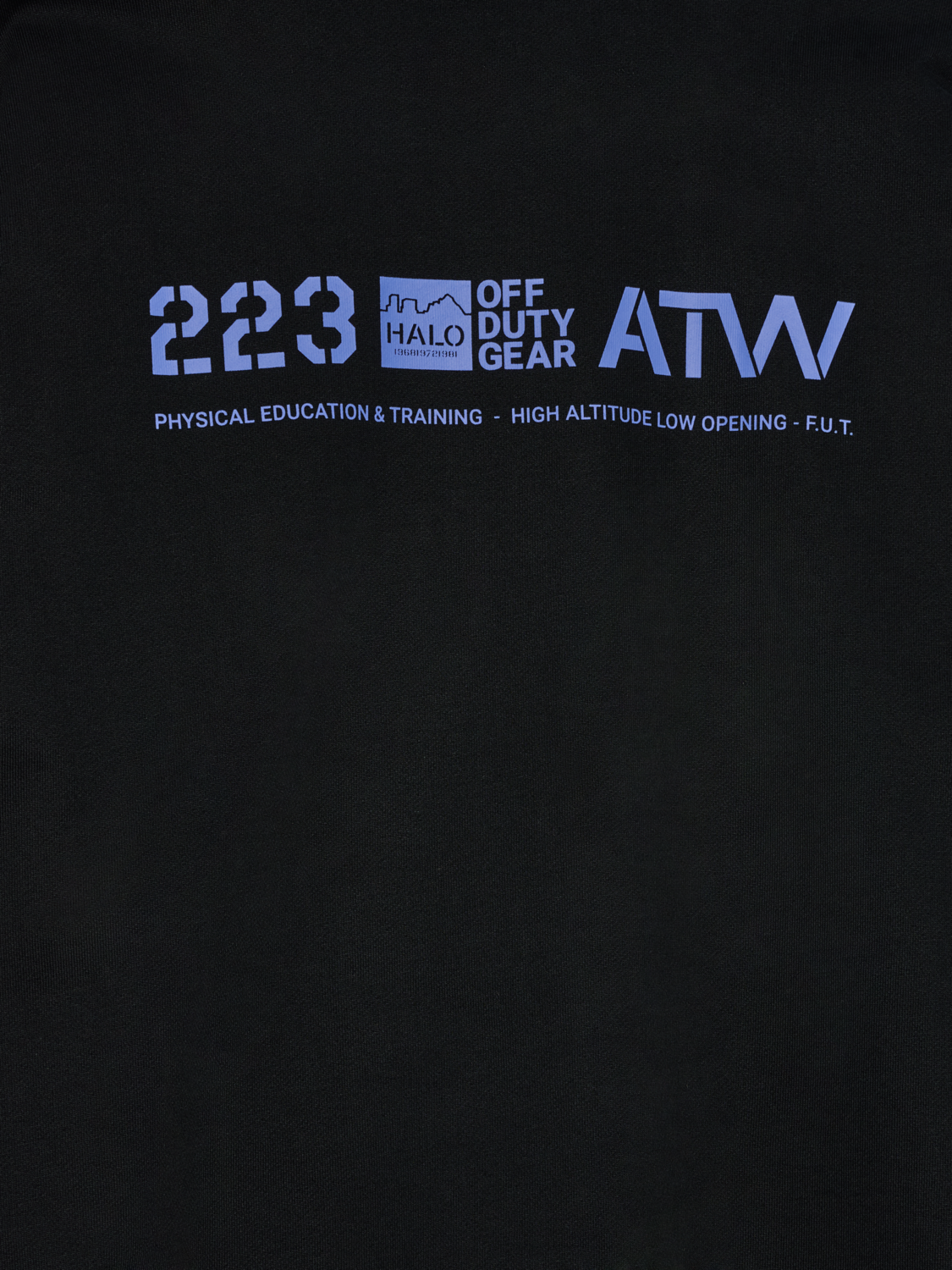 HALO GRAPHIC BOXY CREW, BLACK/PALACE BLUE, packshot