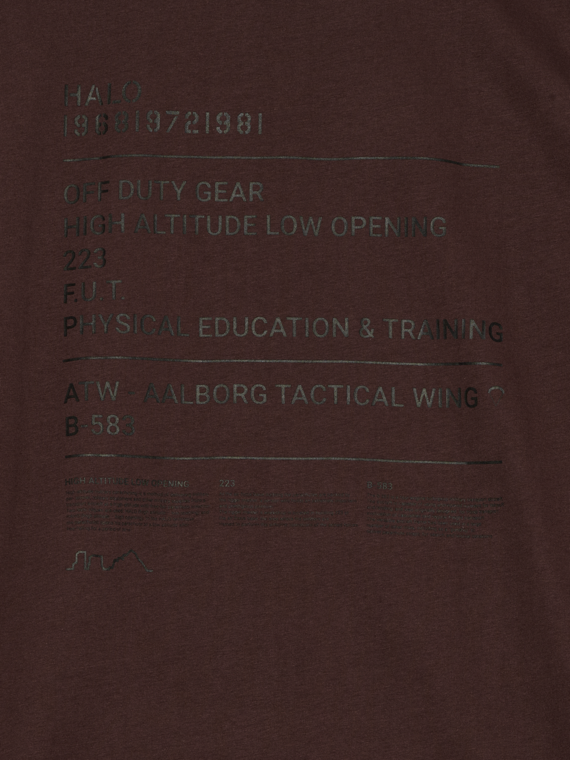 HALO GRAPHIC T-SHIRT, BITTER CHOCOLATE, packshot