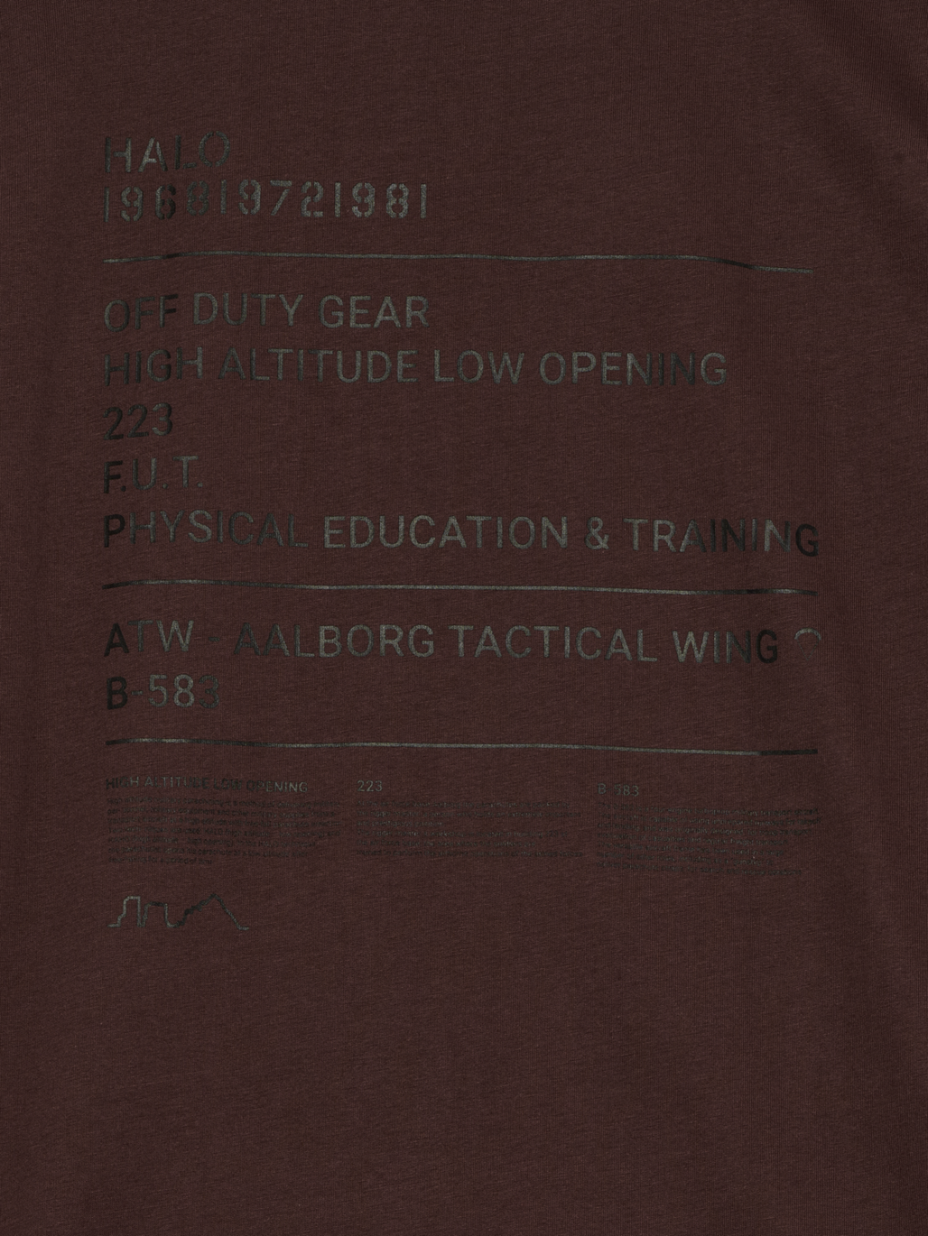 HALO GRAPHIC T-SHIRT, BITTER CHOCOLATE, packshot