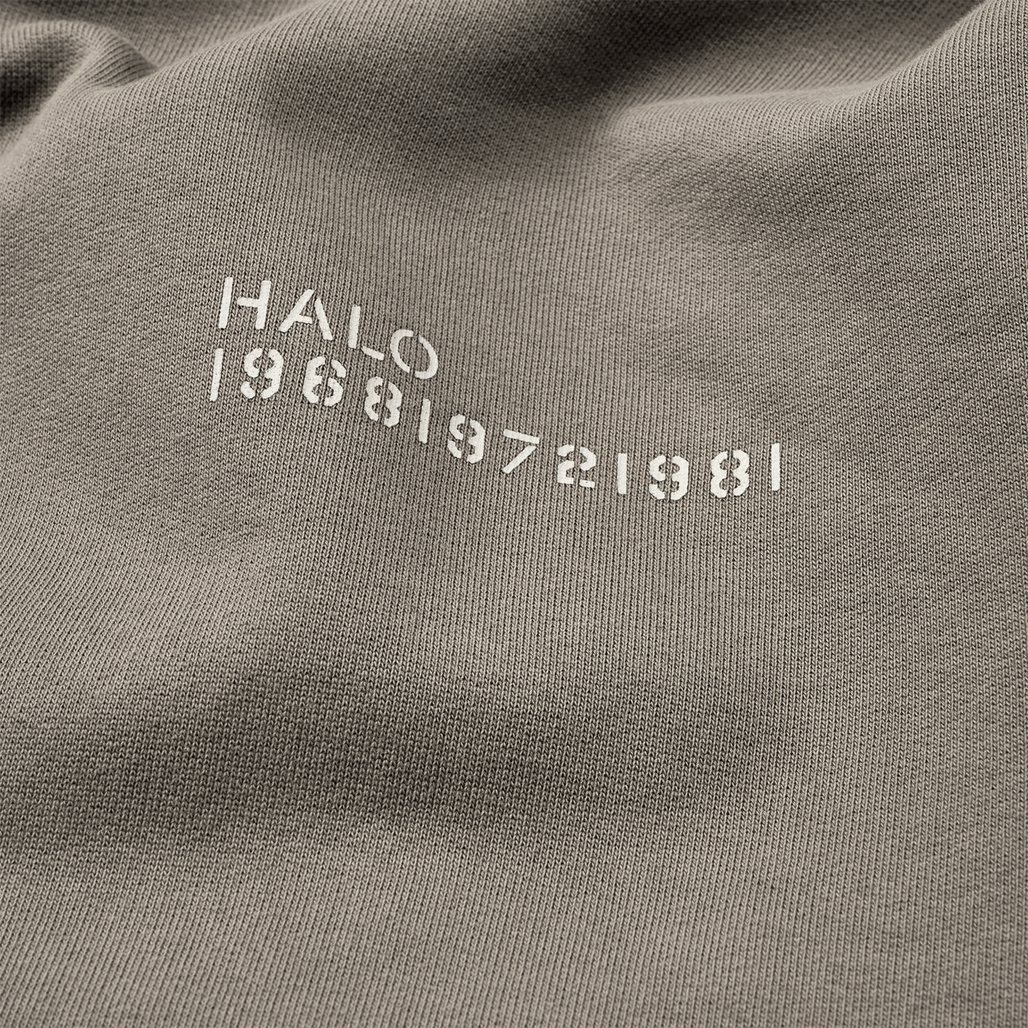 HALO COTTON HOODIE, 6035, packshot