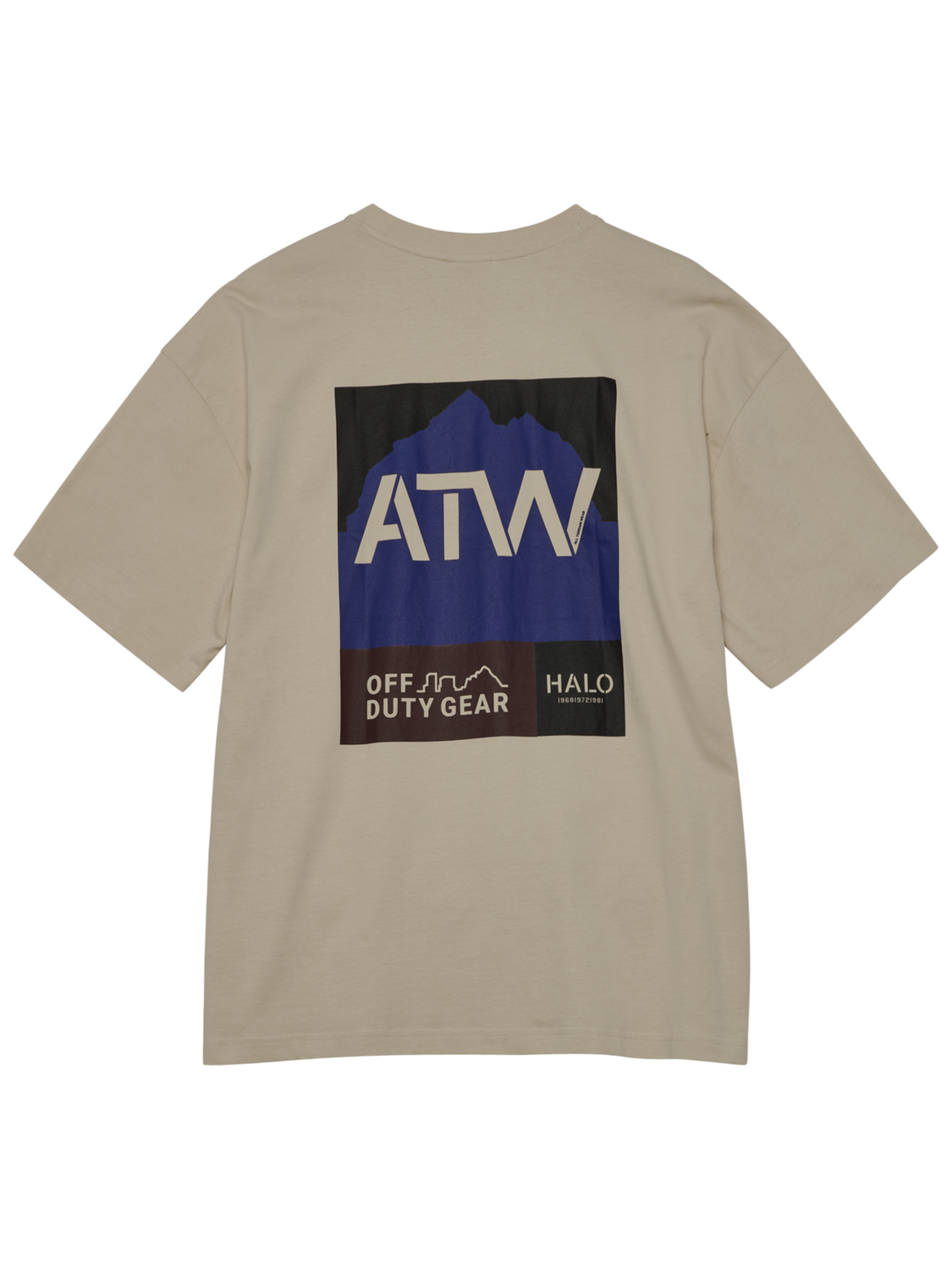 HALO GRAPHIC BOXY T-SHIRT, OYSTER GRAY/OYSTER GRAY, packshot