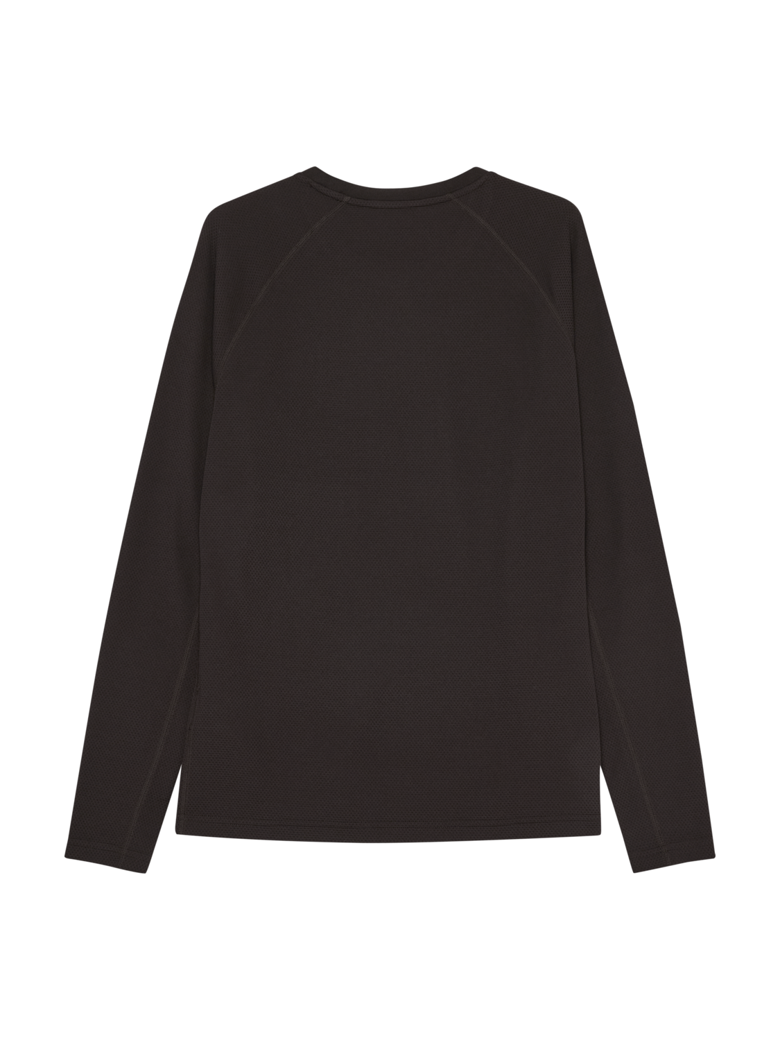 HALO SORONA LS, CHOCOLATE TORTE, packshot