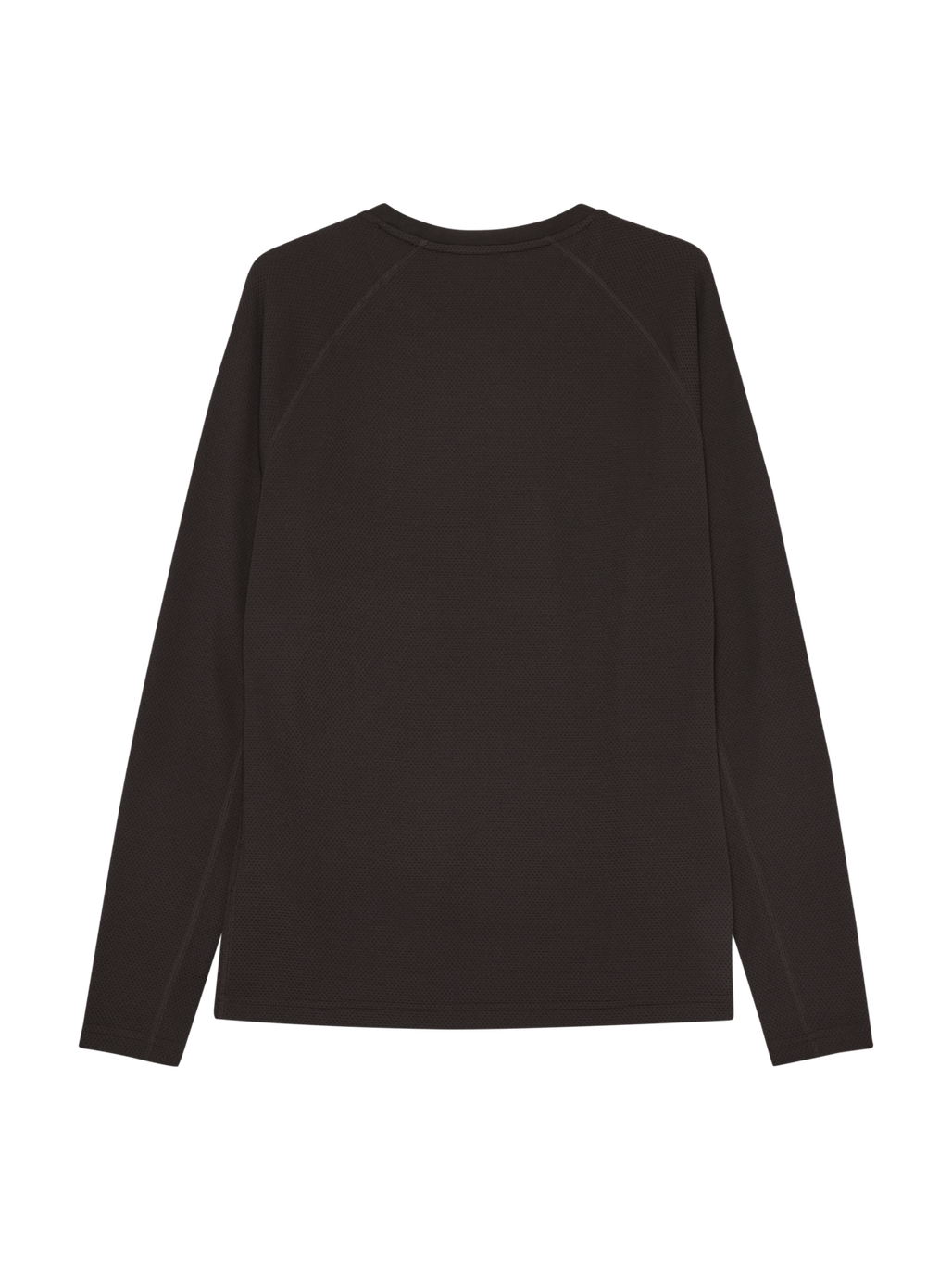 HALO SORONA LS, CHOCOLATE TORTE, packshot