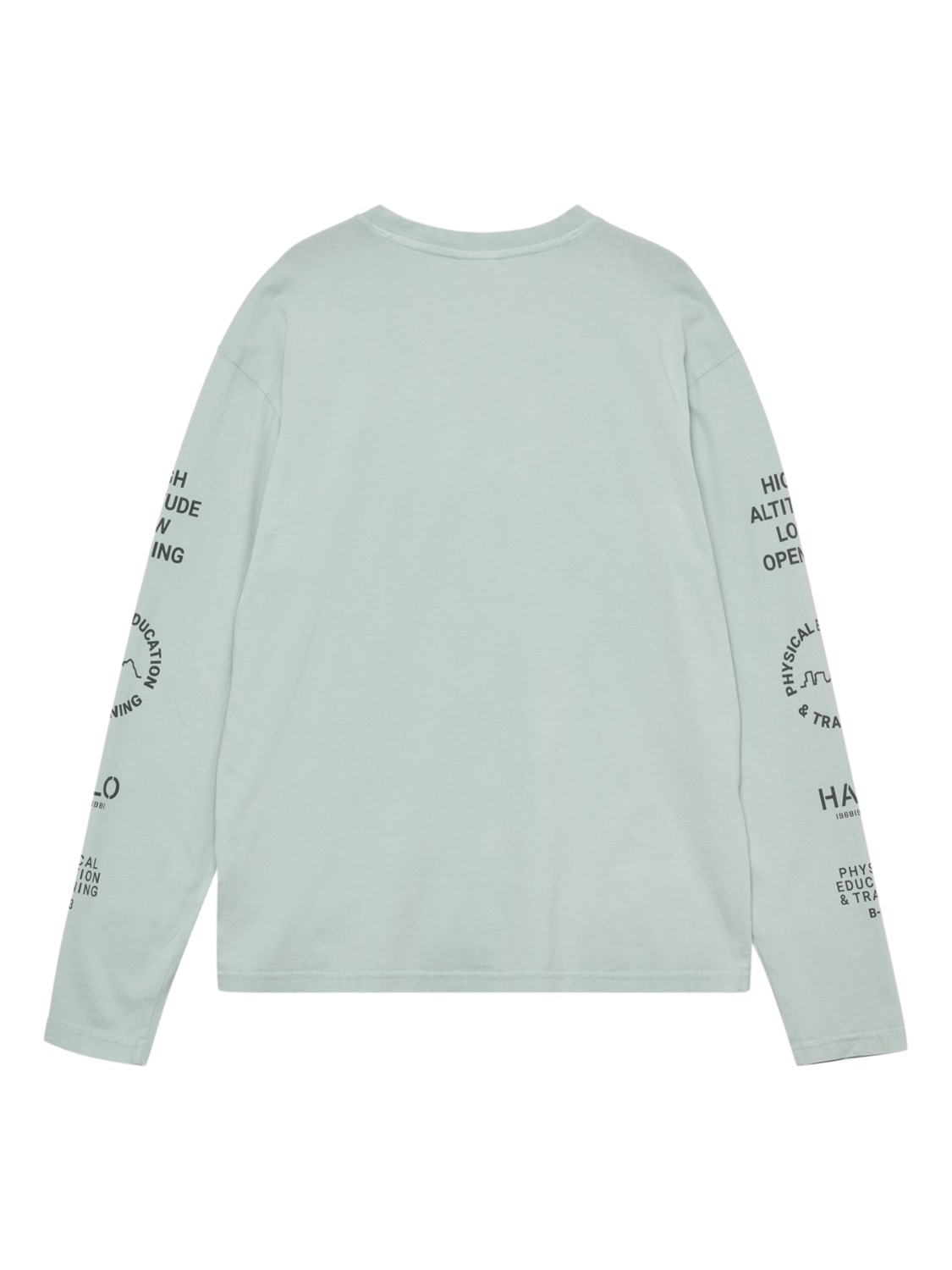 HALO GRAPHIC LOGO LONGSLEEVE, STORM GRAY, packshot