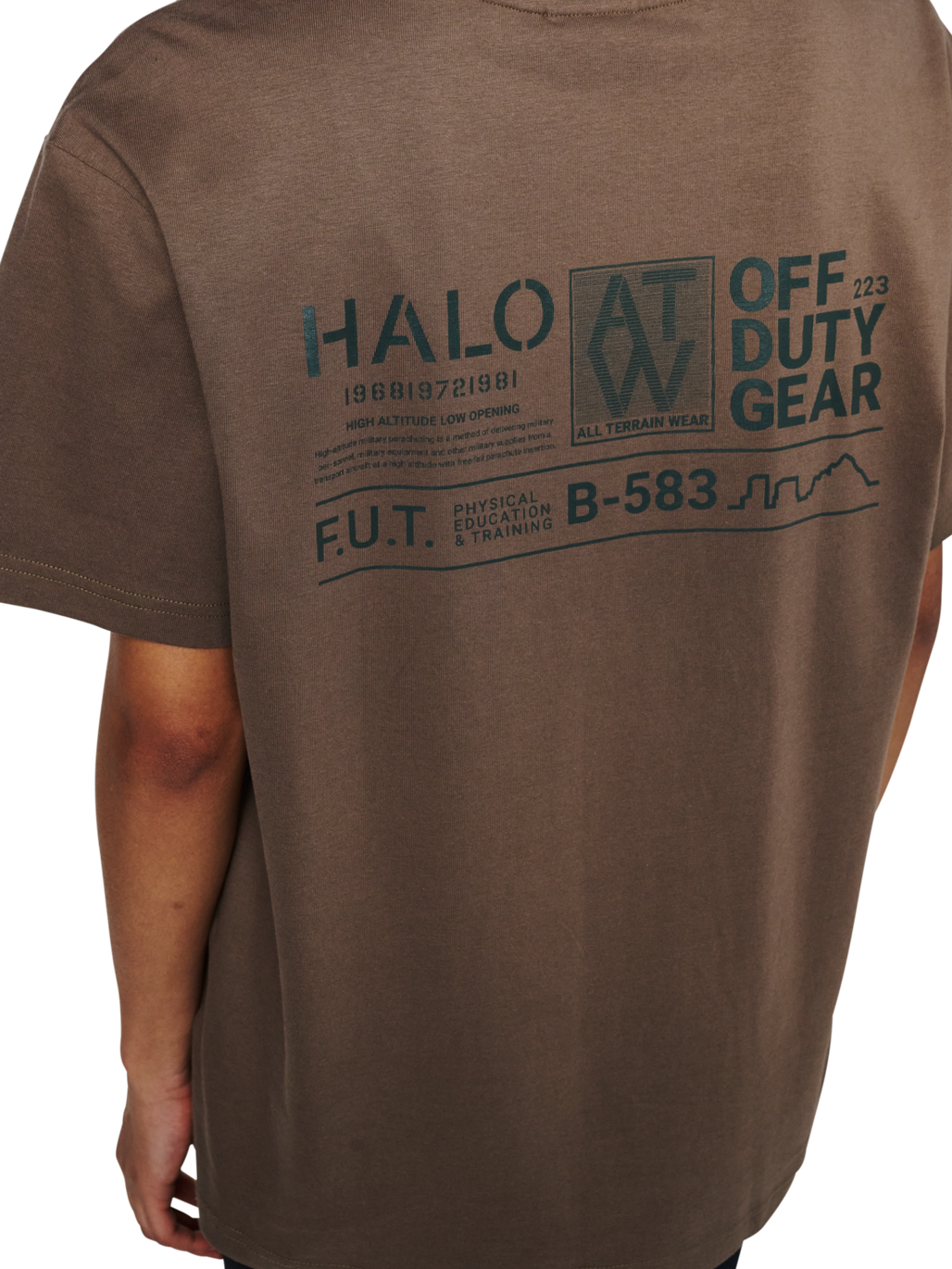 HALO GRAPHIC T-SHIRT 03, CHOCOLATE CHIP, model