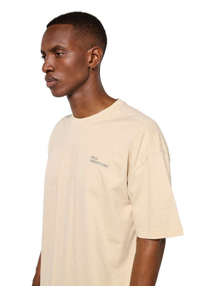 HALO GRAPHIC BOXY T-SHIRT, OYSTER GRAY/ASPHALT, model