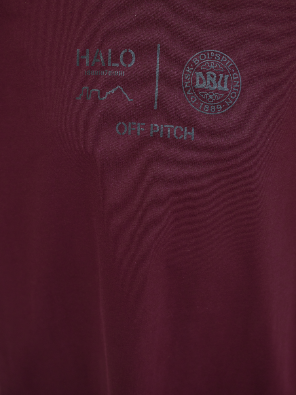 HALO DBU BOXY T-SHIRT, PORT ROYALE, model