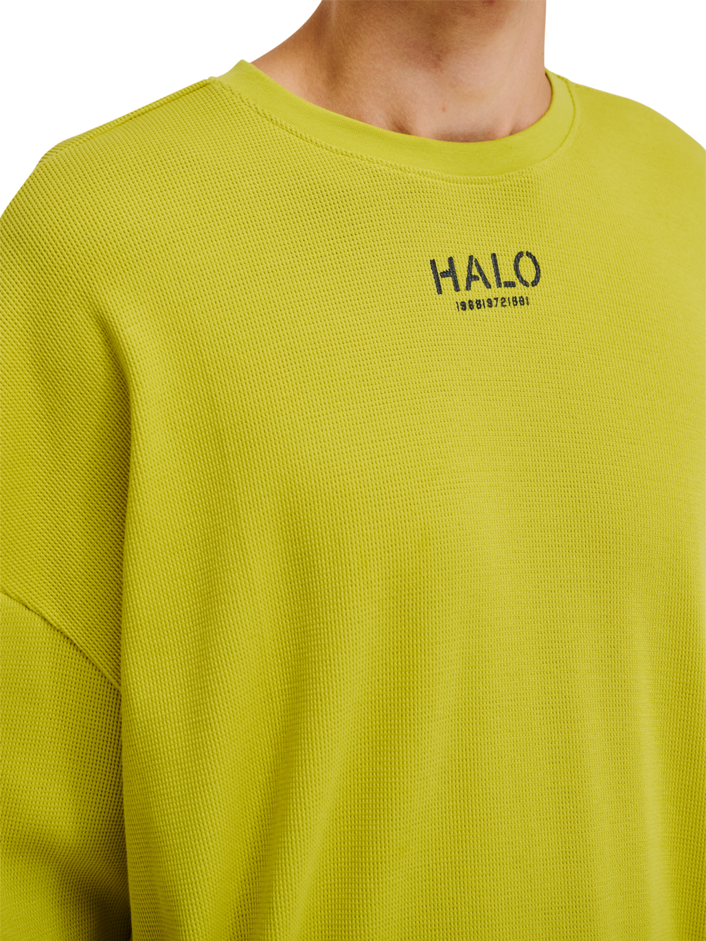 HALO AVIATION WAFFLE CREW, WARM OLIVE, model