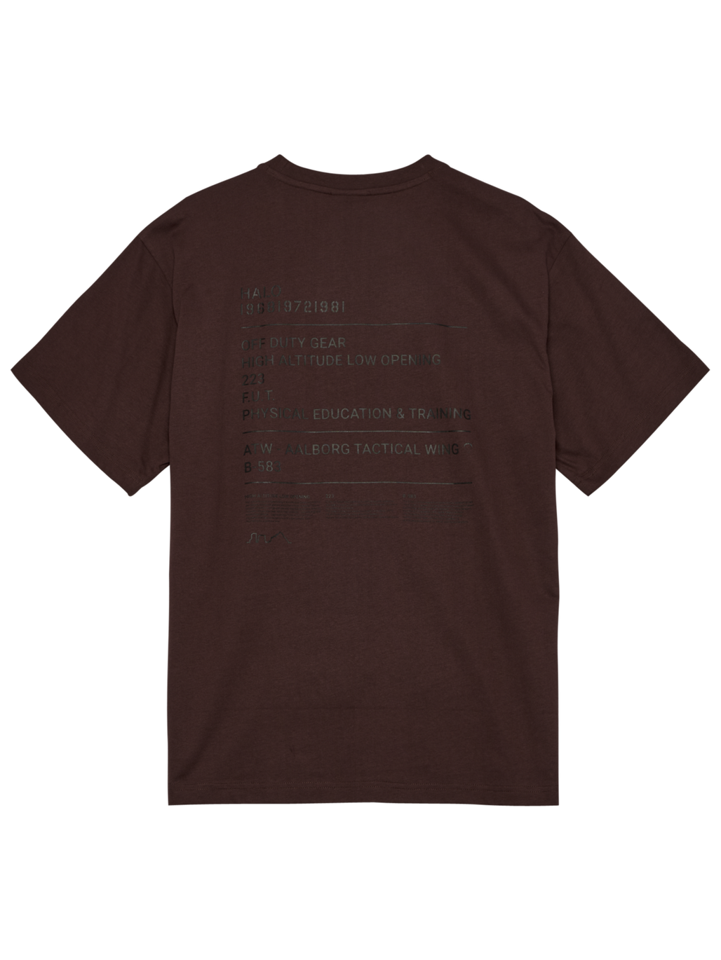 HALO GRAPHIC T-SHIRT, BITTER CHOCOLATE, packshot