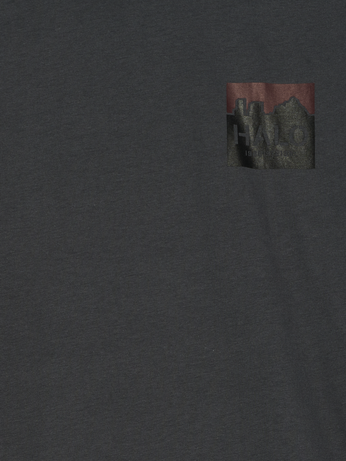 HALO GRAPHIC BOXY T-SHIRT, ASPHALT/ASPHALT, packshot