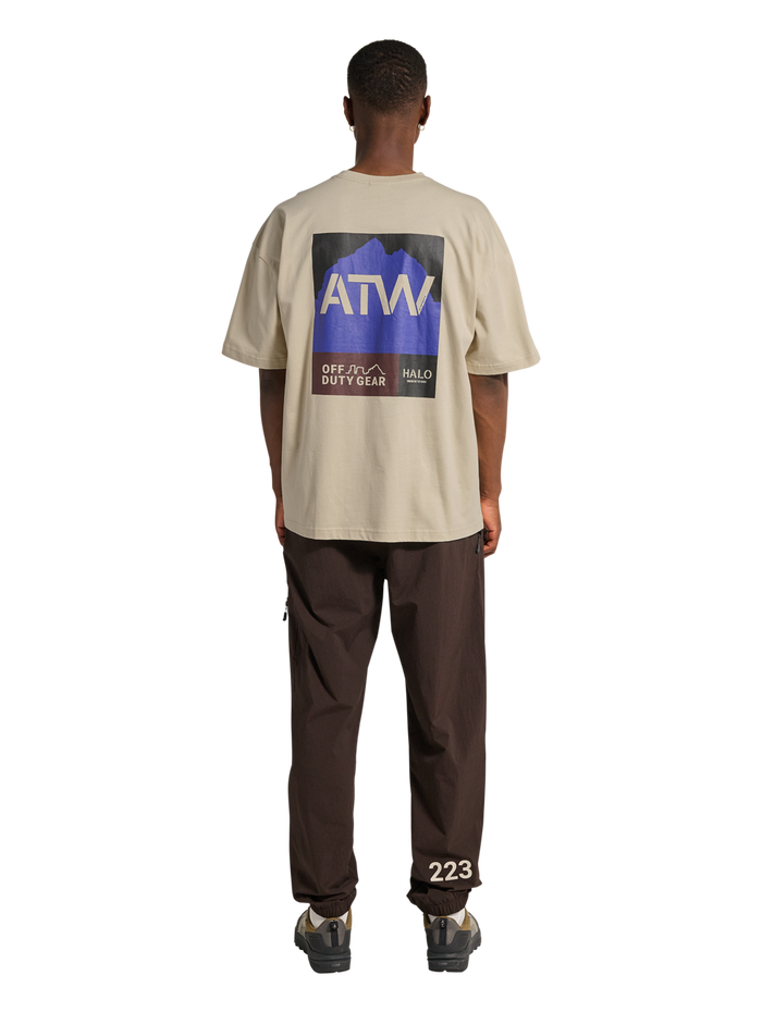 HALO GRAPHIC BOXY T-SHIRT, OYSTER GRAY/OYSTER GRAY, model