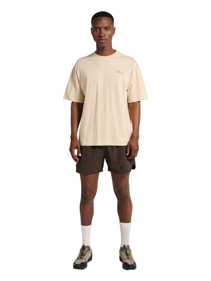 HALO GRAPHIC BOXY T-SHIRT, OYSTER GRAY/ASPHALT, model
