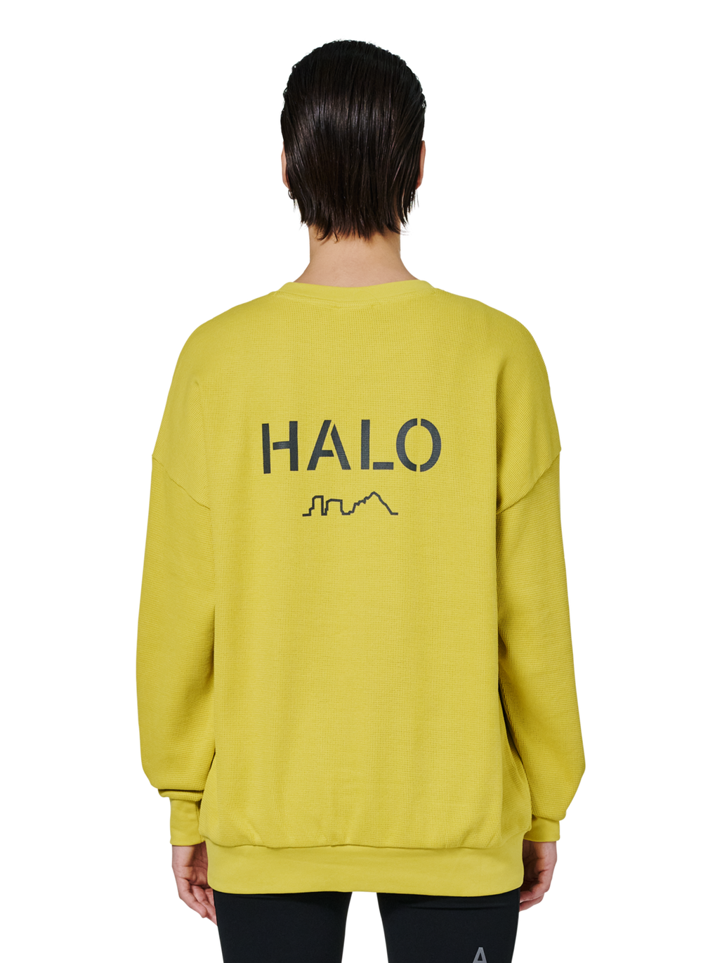 HALO AVIATION WAFFLE CREW, WARM OLIVE, model