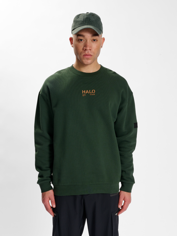 HALO COTTON CREW, DEEP FOREST, model