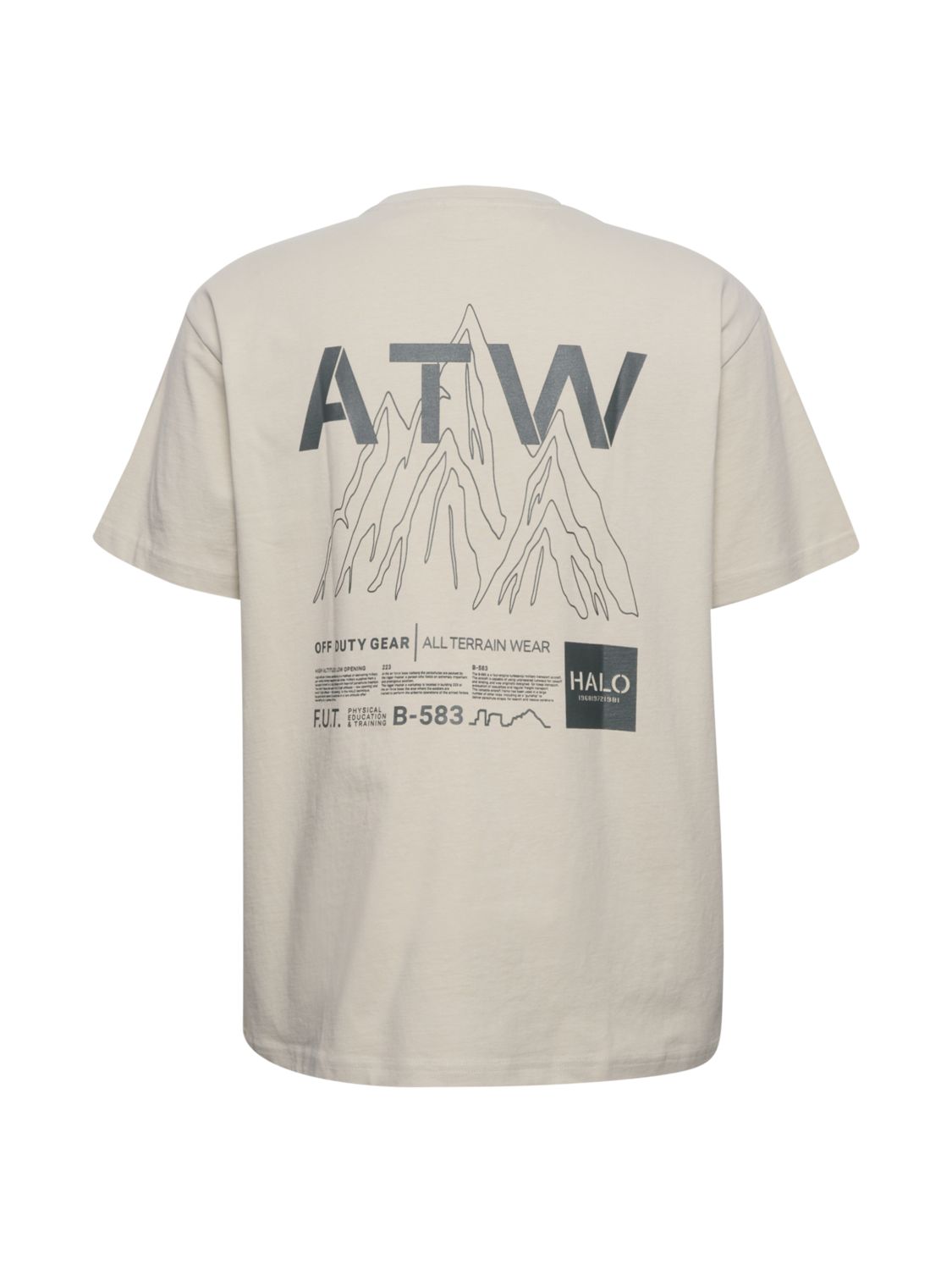 HALO GRAPHIC T-SHIRT 02, SILVER LINING, packshot