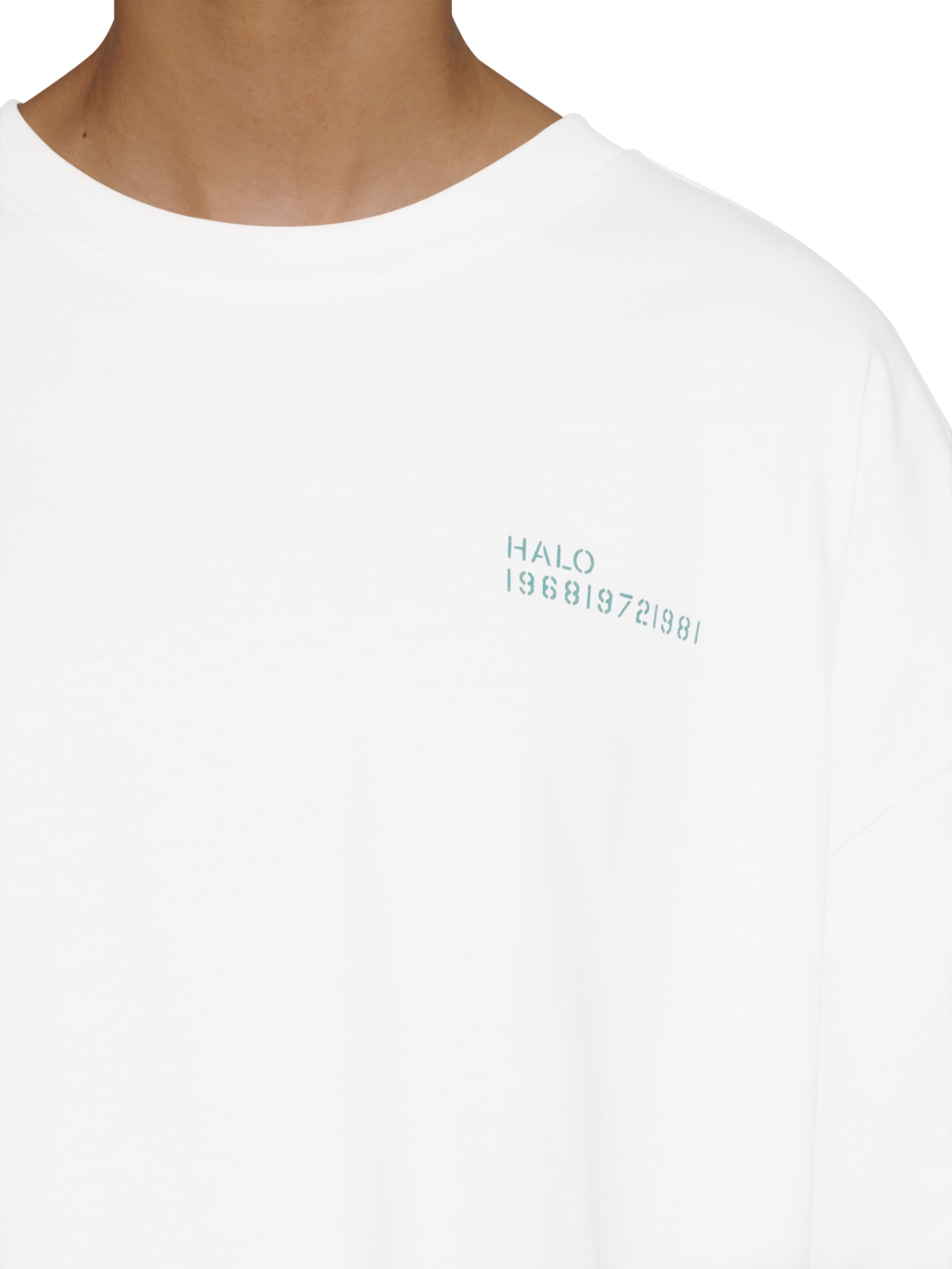 HALO GRAPHIC BOXY T-SHIRT, MARSHMALLOW/BOTANICALGARDEN/BG, model