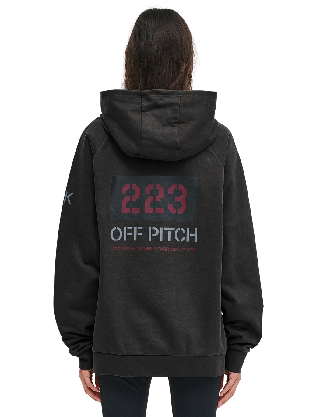 HALO DBU GRAPHIC HOODIE, RAVEN, model