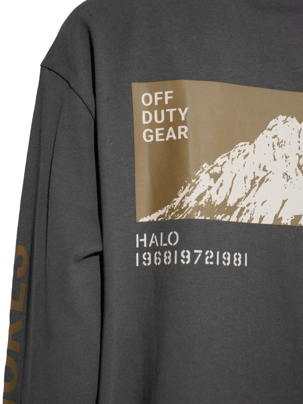 HALO SHORES L/S T-SHIRT, RAVEN, model