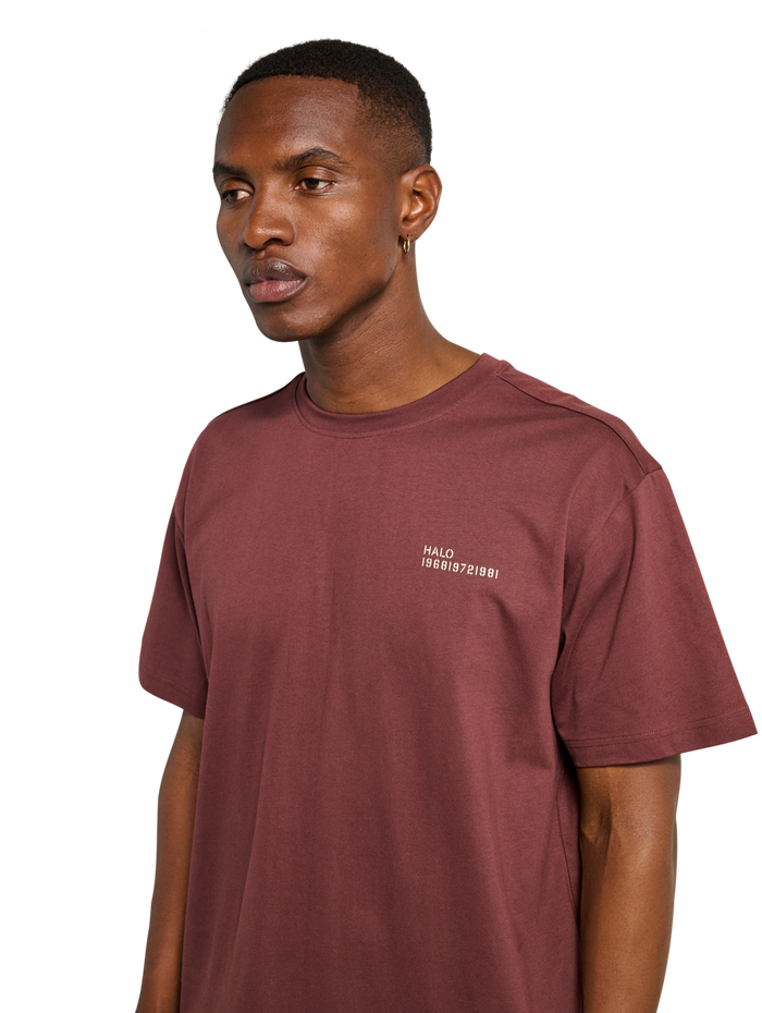 HALO GRAPHIC T-SHIRT, BITTER CHOCOLATE/BITTERCHOCOLA, model