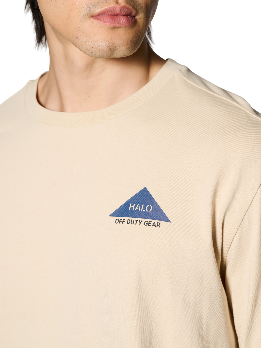 HALO SHORES L/S T-SHIRT, OYSTER GRAY, model