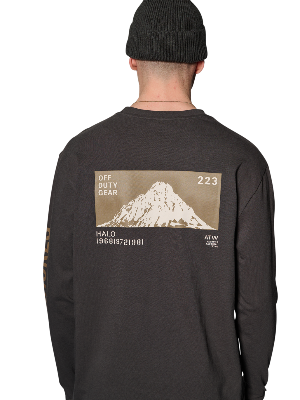 HALO SHORES L/S T-SHIRT, RAVEN, model