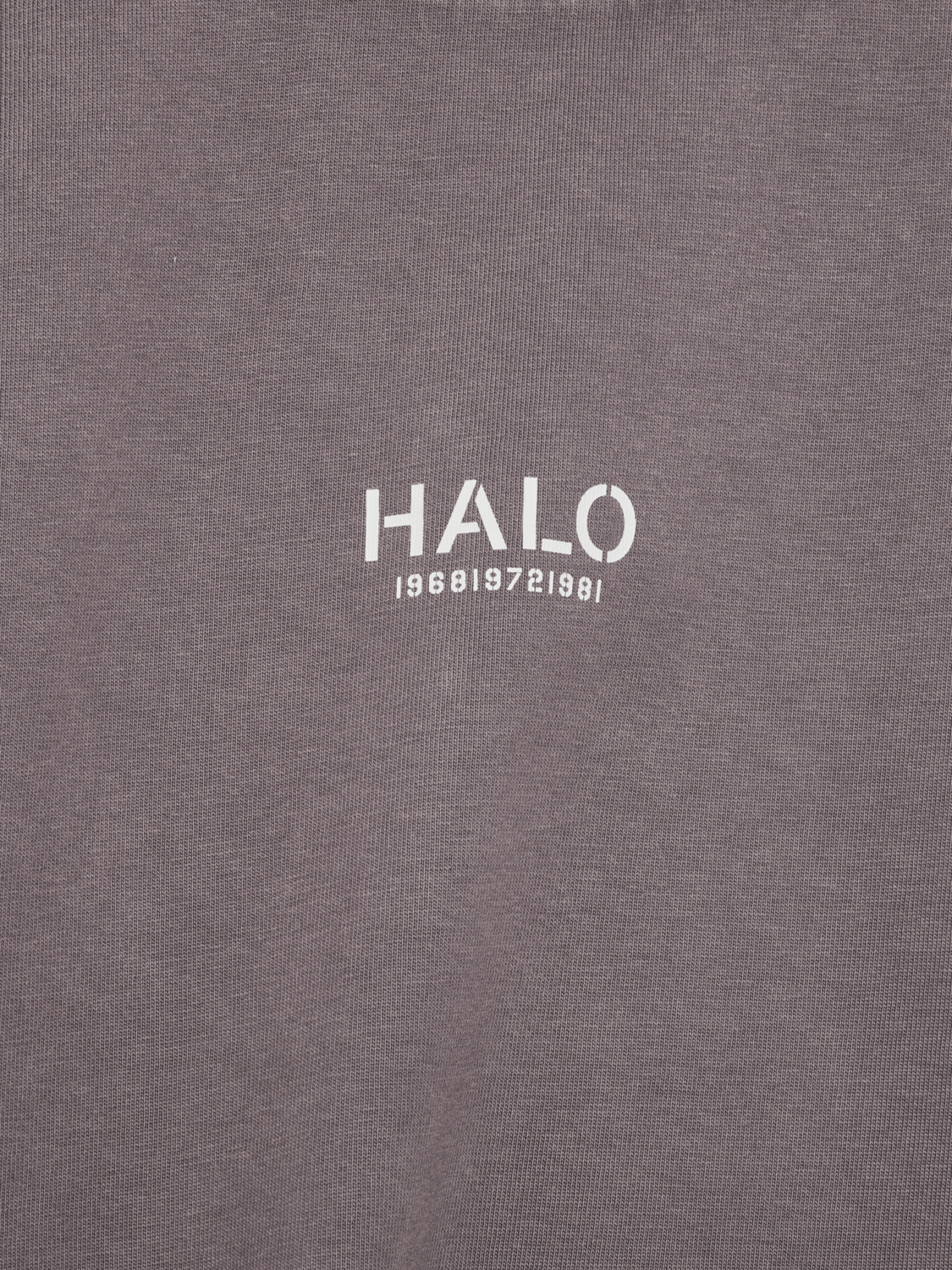 HALO GRAPHIC T-SHIRT, SPARROW, packshot