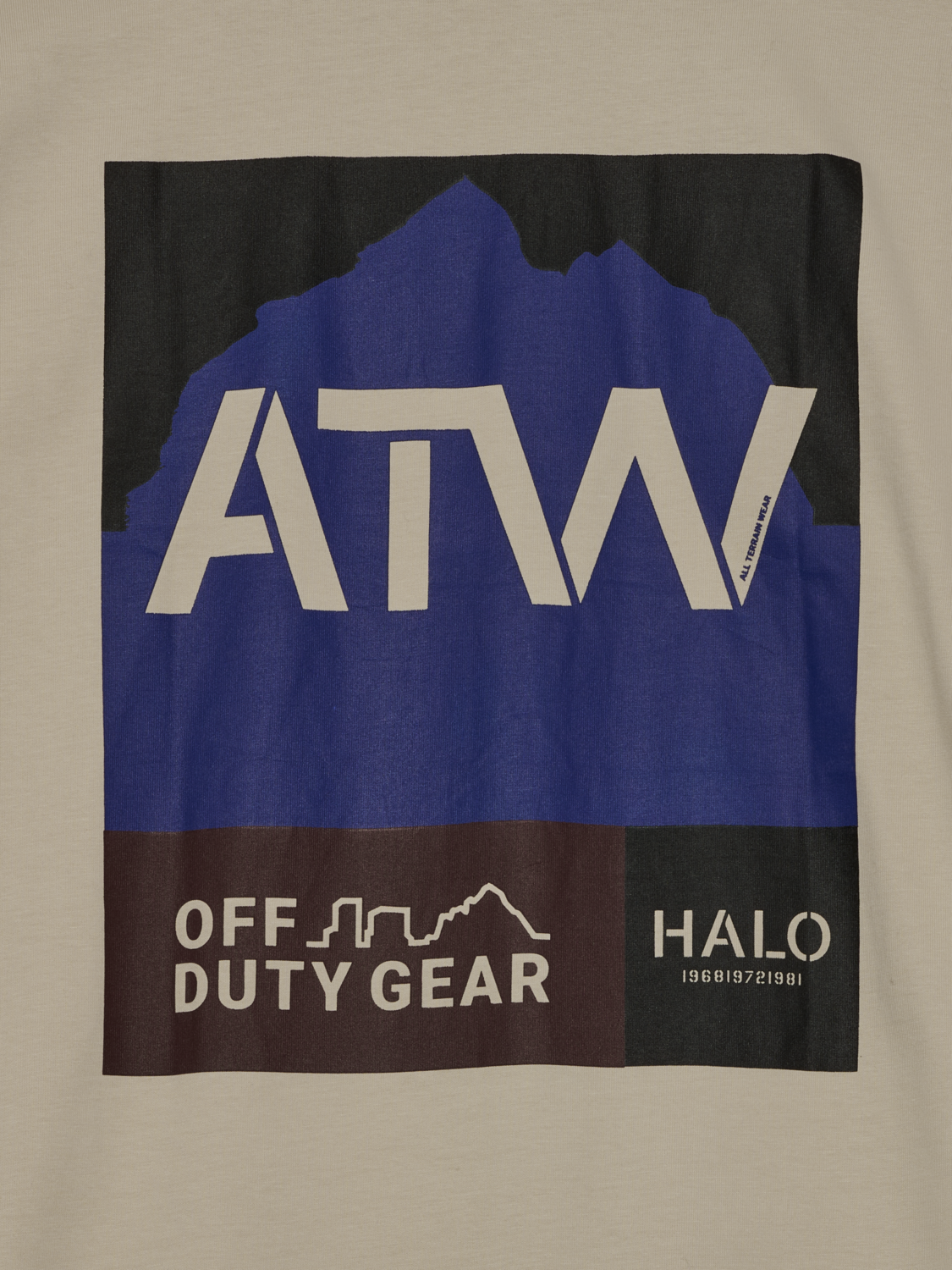 HALO GRAPHIC BOXY T-SHIRT, OYSTER GRAY/OYSTER GRAY, packshot