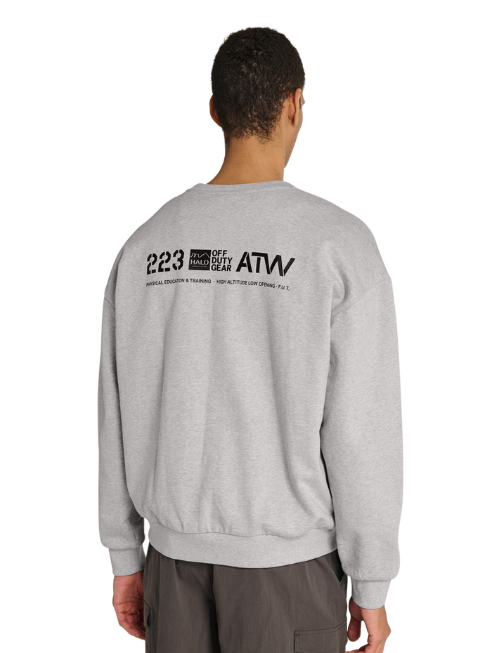 HALO GRAPHIC BOXY CREW, LIGHT GREY MELANGE, model