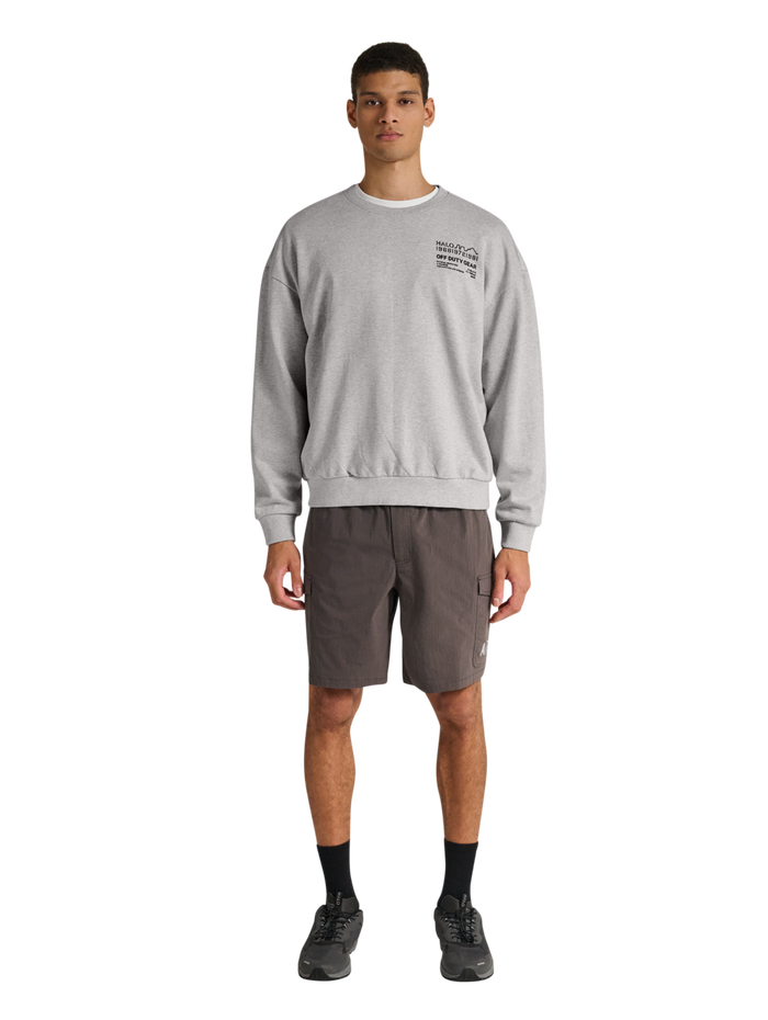 HALO GRAPHIC BOXY CREW, LIGHT GREY MELANGE, model