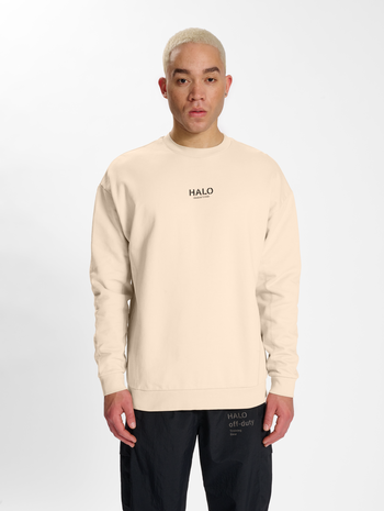 HALO HEAVY GRAPHIC CREW, OYSTER GRAY, model