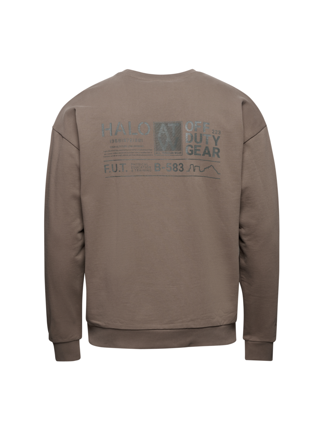 HALO GRAPHIC CREW 01, CHOCOLATE CHIP, packshot