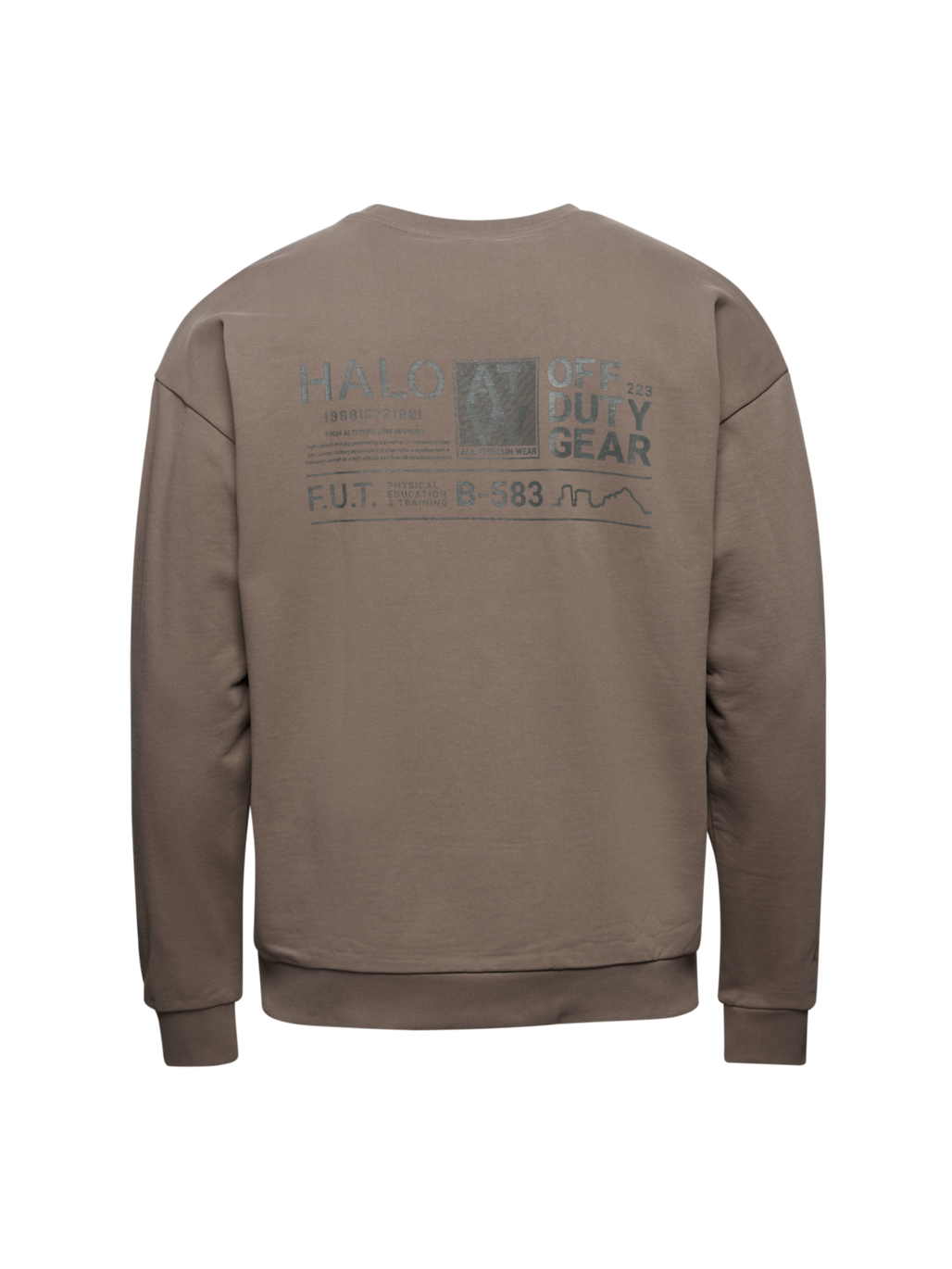 HALO GRAPHIC CREW 01, CHOCOLATE CHIP, packshot