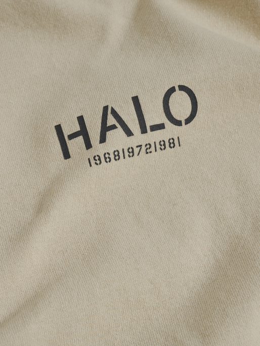 HALO HEAVY GRAPHIC T-SHIRT L/S, OYSTER GRAY, packshot