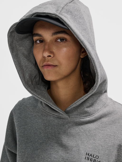 Grey online melange hoodie