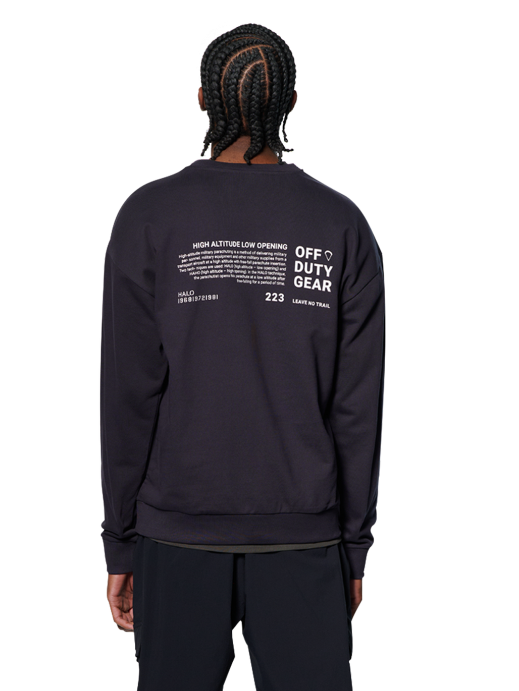 HALO LOGO GRAPHIC CREW, DEEP WELL, model