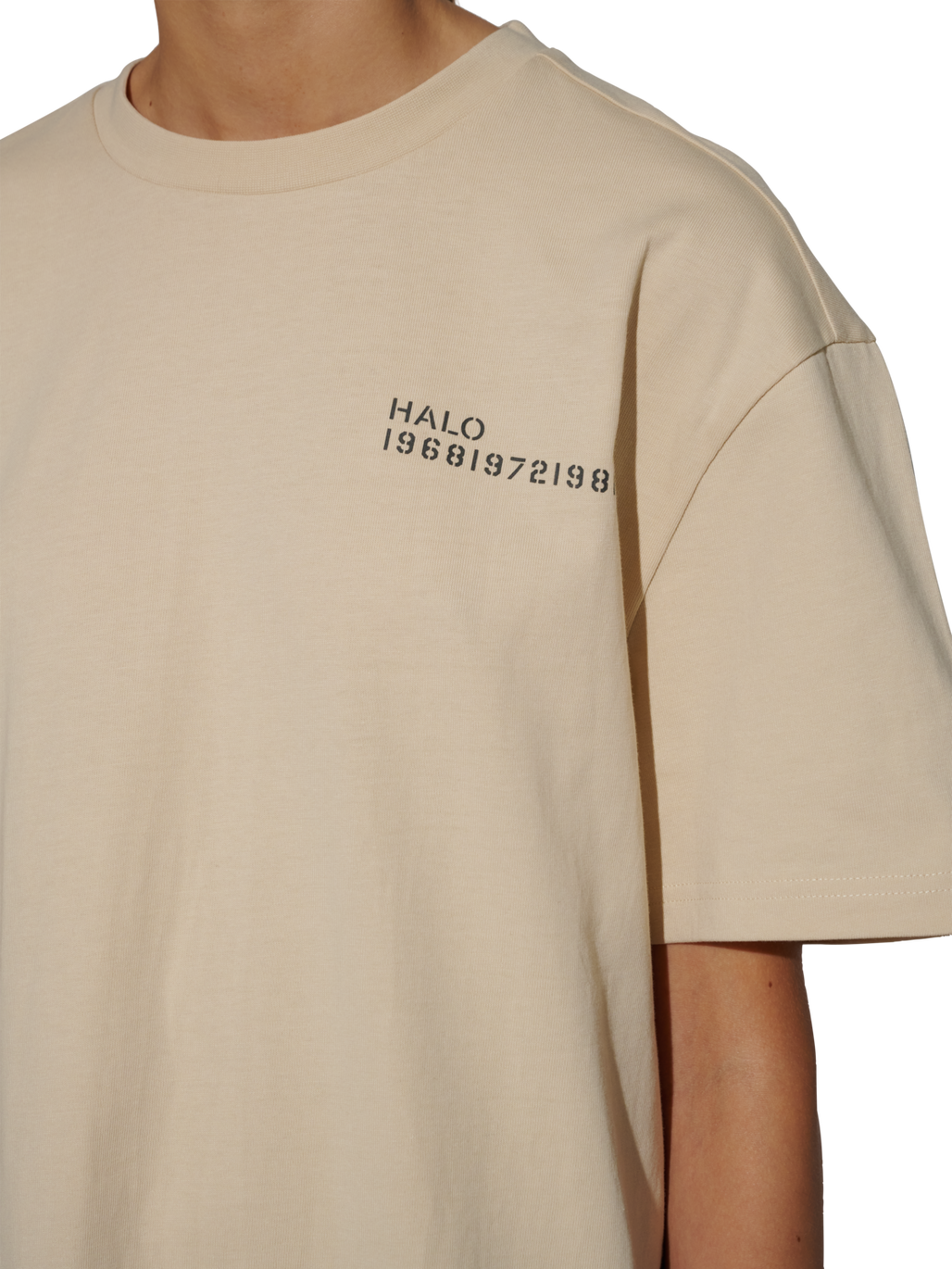 HALO COLD SHORE T-SHIRT, OYSTER GRAY, model