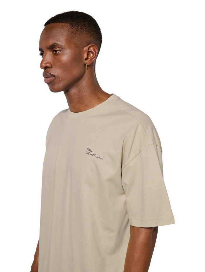 HALO GRAPHIC BOXY T-SHIRT, OYSTER GRAY/ASPHALT, model