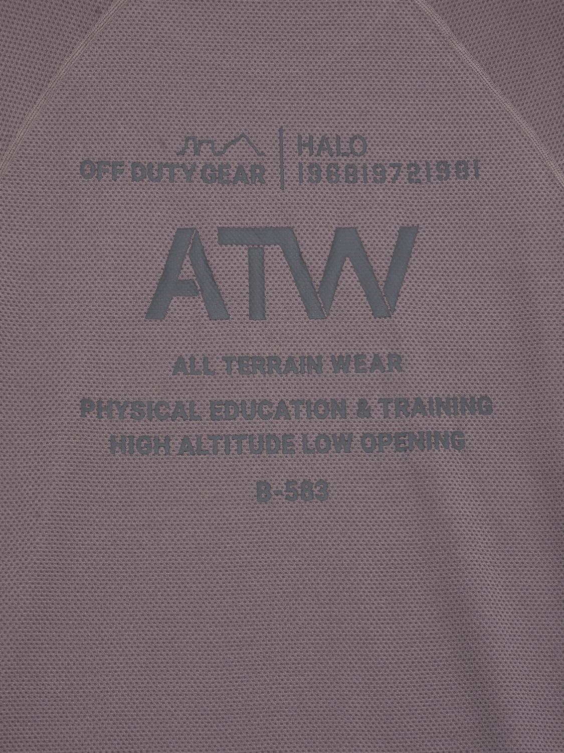HALO SORONA T-SHIRT, SPARROW, packshot