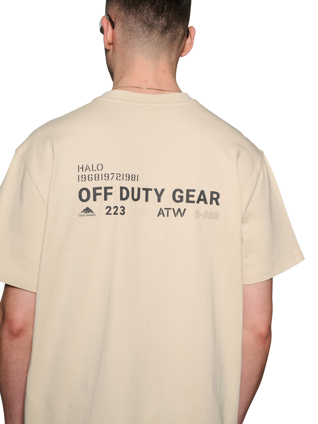 HALO COLD SHORE T-SHIRT, OYSTER GRAY, model