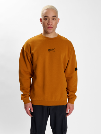 HALO COTTON CREW, HONEY GINGER, model